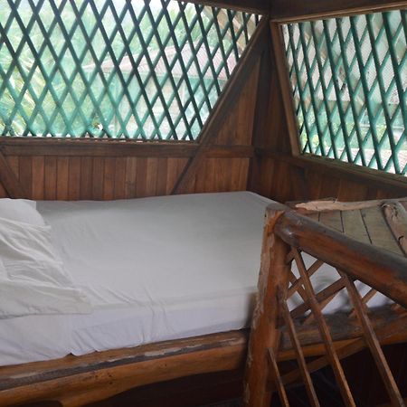 Hotel Puerto Viejo Puerto Viejo de Talamanca エクステリア 写真