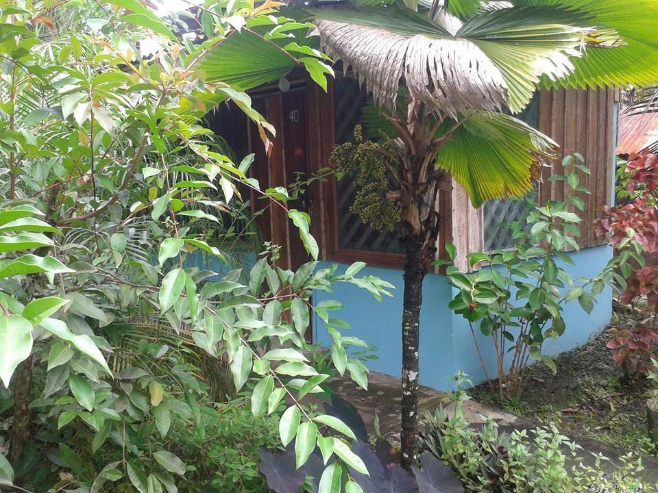 Hotel Puerto Viejo Puerto Viejo de Talamanca エクステリア 写真