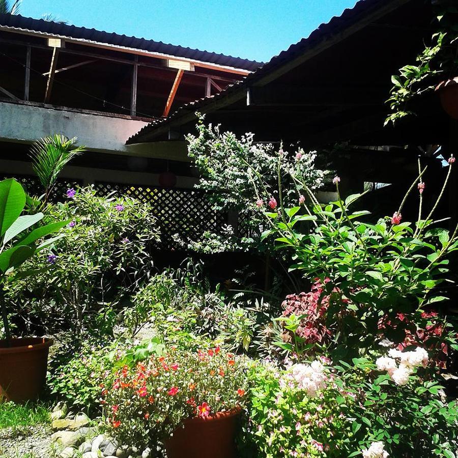Hotel Puerto Viejo Puerto Viejo de Talamanca エクステリア 写真
